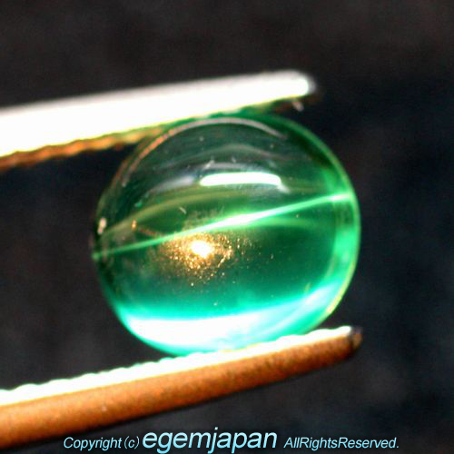 お客様の声ご購入商品